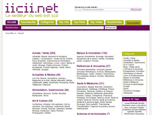 Tablet Screenshot of iicii.net